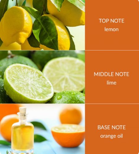 Citrus-Crush-Notes-600x693-1.jpg