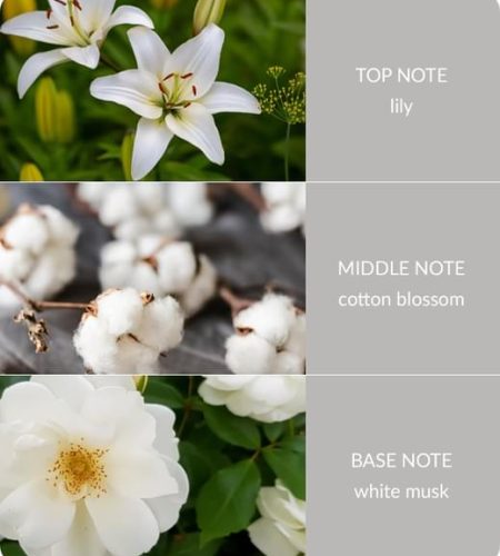 Cotton-Blossom-Notes-square-Small-1.jpg