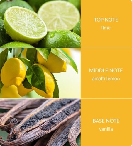 Lemon-Bliss-Notes-Square-Small-1.jpg