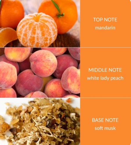 Peach-Passion-Notes-square-Small-1.jpg