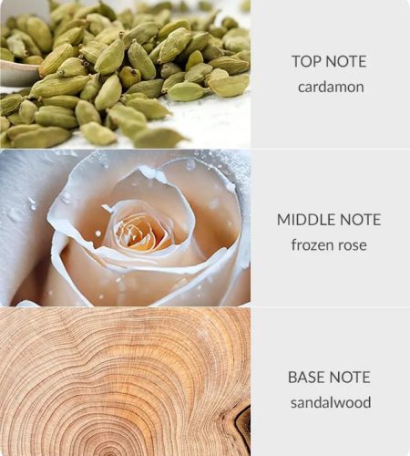 notes-bamboo-frozen-woodland-walk-medium-5.jpg