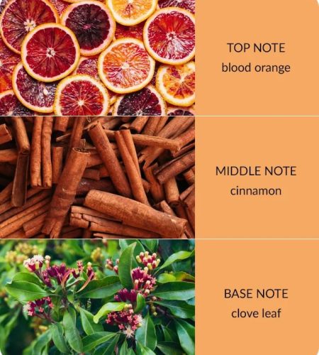 notes-bamboo-orange-zest-cloveoil-medium-1.jpg