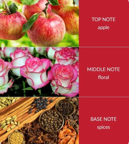 notes-bamboo-spiced-apple-cinnamon-medium-2.jpg