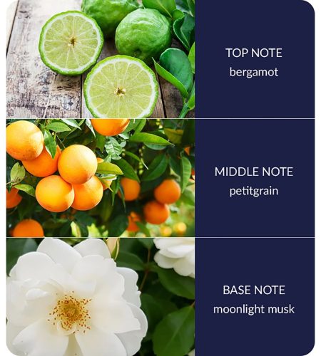 notes-starry-night-medium.jpg