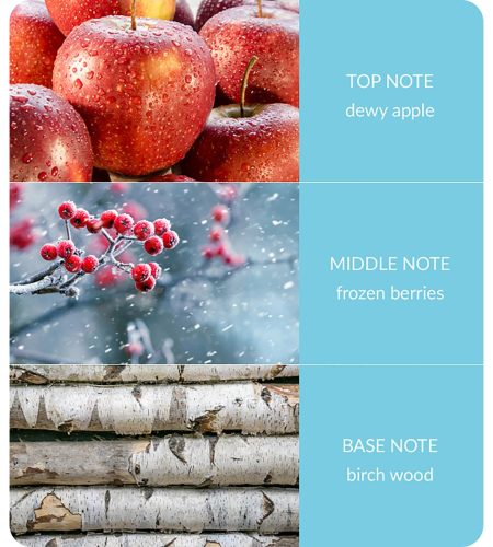notes-winter-berry-frost-medium.jpg
